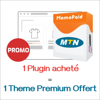 Theme Premium Gratuit